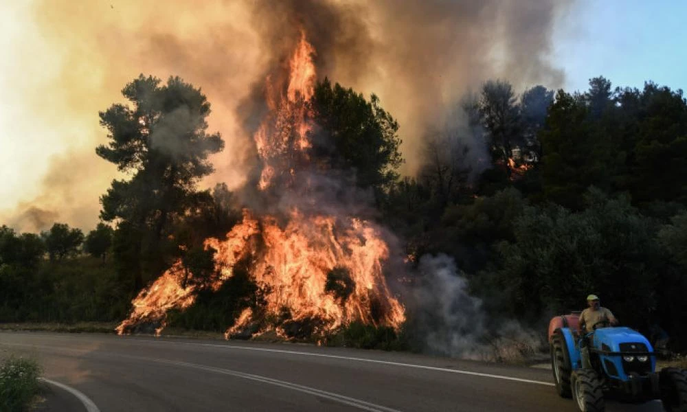 Σε «πορτοκαλί» συναγερμό βρίσκεται ο Δήμος Ωρωπού- Έχουν ξεσπάσει τρεις φωτιές το τελευταίο 24ωρο